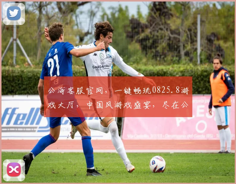 公海客服官网，一键畅玩0825.8游戏大厅，中国风游戏盛宴，尽在公海客服官网，等你来体验