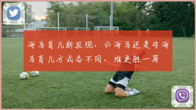 海马育儿新发现，公海马还是母海马育儿方式各不同，谁更胜一筹